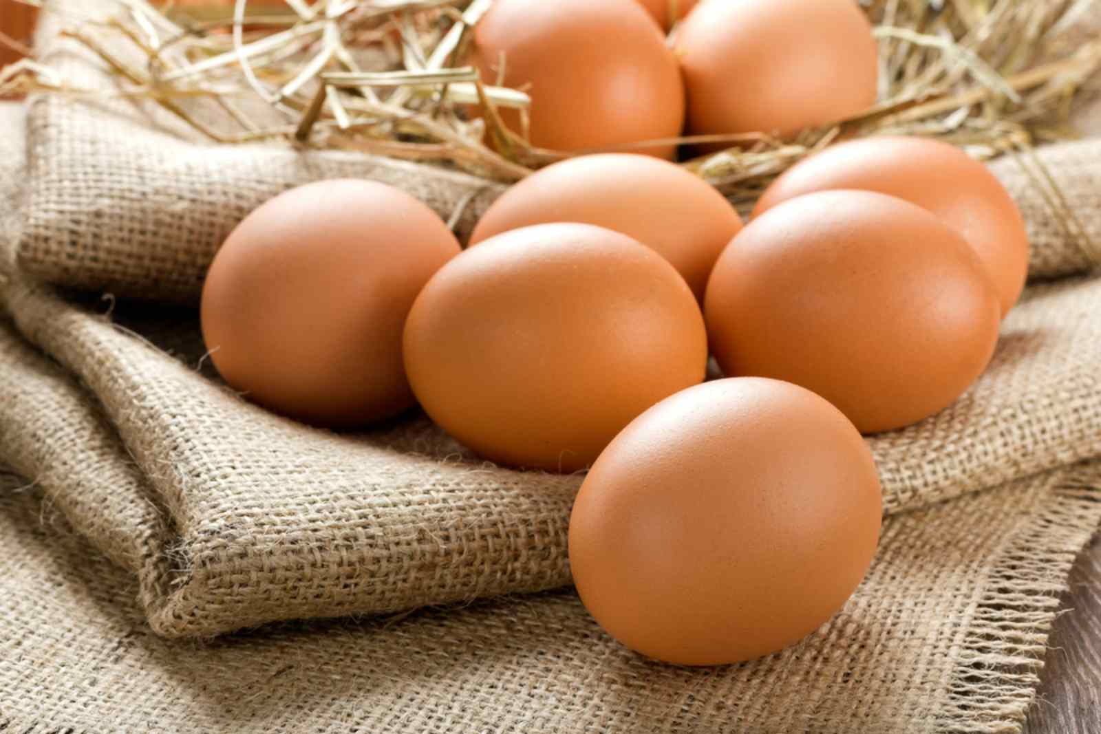 Ngoài vitamin D, trứng là một nguồn cung cấp vitamin B12 và protein dồi dào