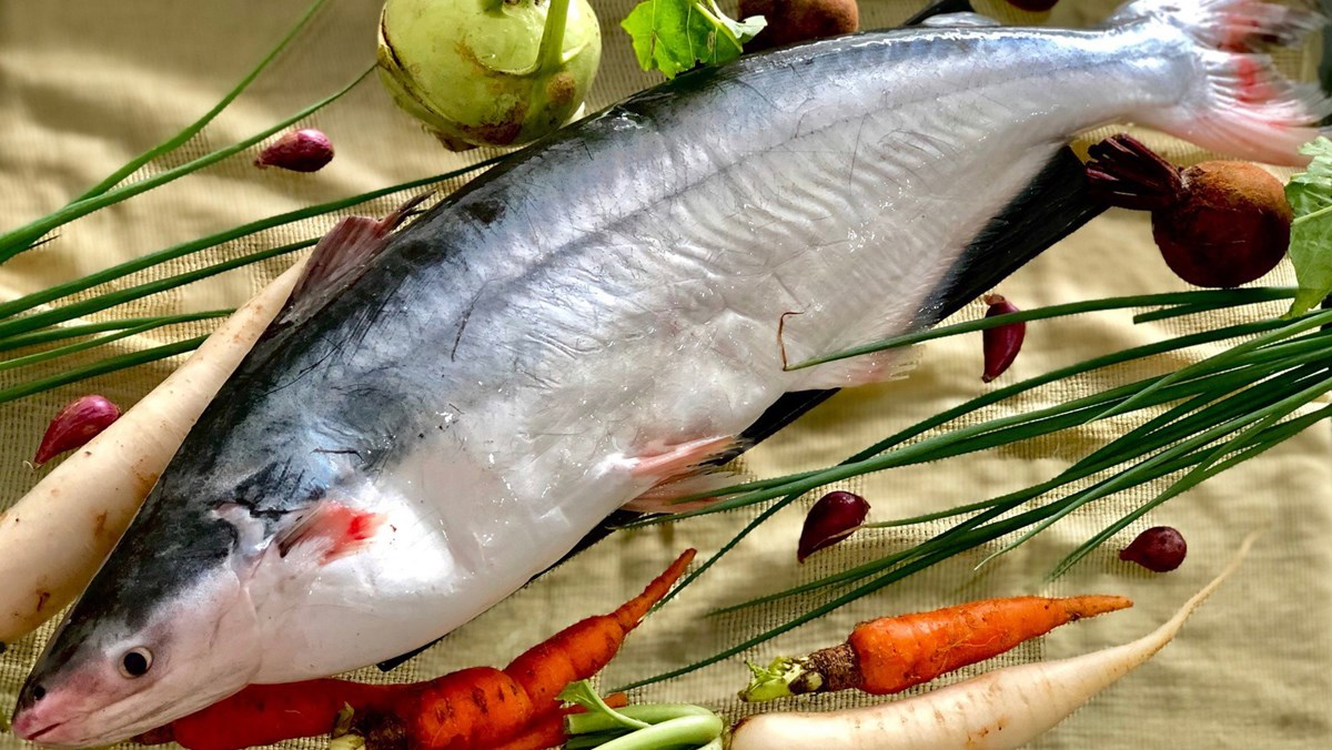 Những loại cá rất giàu vitamin D. Cá nấu chín chứa nhiều vitamin D; và mỡ cá cũng rất tốt cho việc hòa tan vitamin