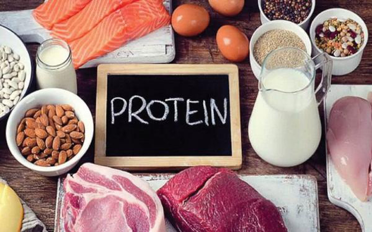 Protein, còn được biết đến với tên gọi là chất đạm