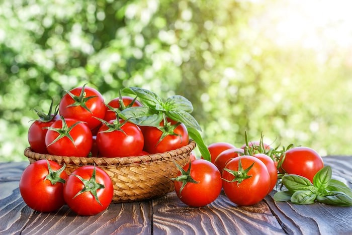 Cà chua - Thực phẩm bổ sung vitamin C cần thiết cho cơ thể