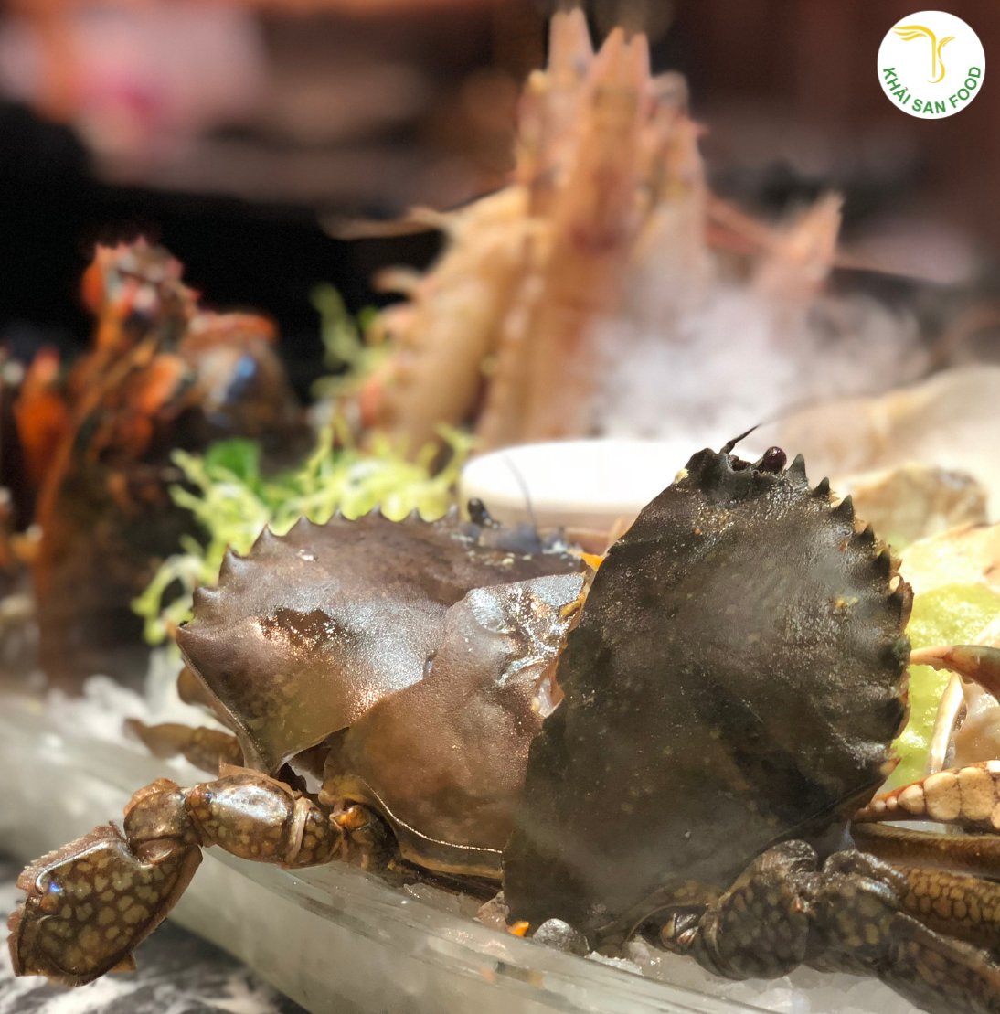Lý do nên chọn lẩu cua đồng hải sản cho bữa ăn gia đình Lý do nên chọn lẩu cua đồng hải sản cho bữa ăn gia đình