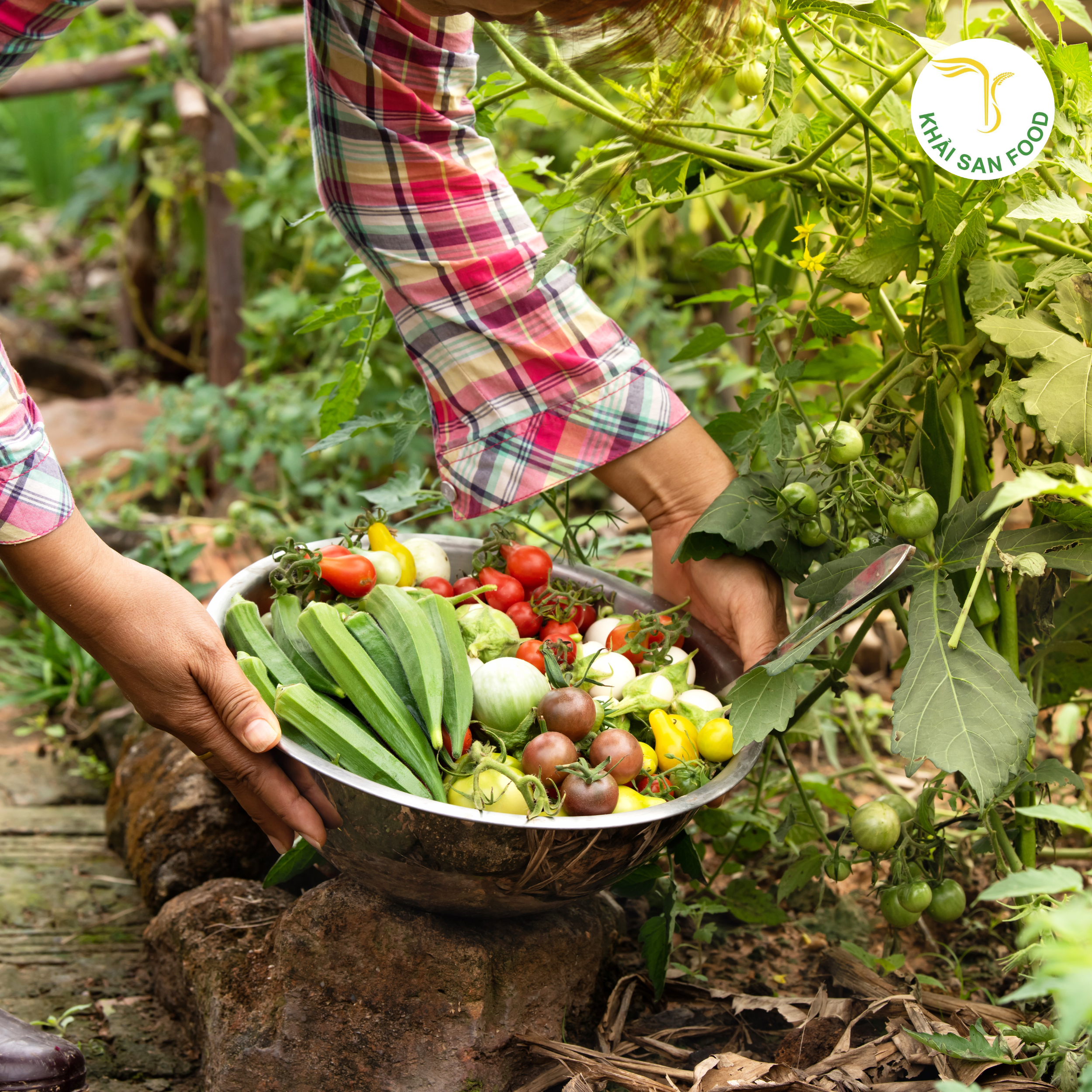 Rau củ quả tươi sạch Organic