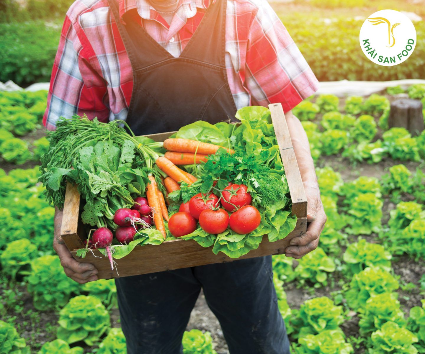 Cửa hàng rau củ organic