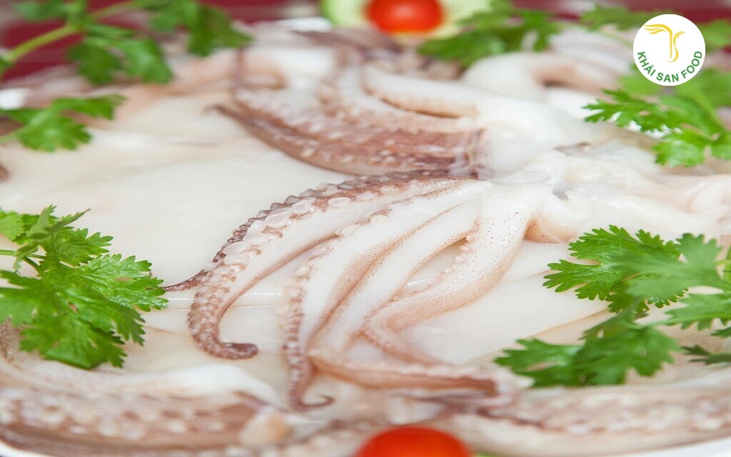 mực lá tươi sống mực lá tươi sống