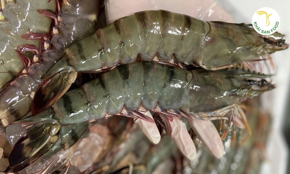 giá tôm tươi sống