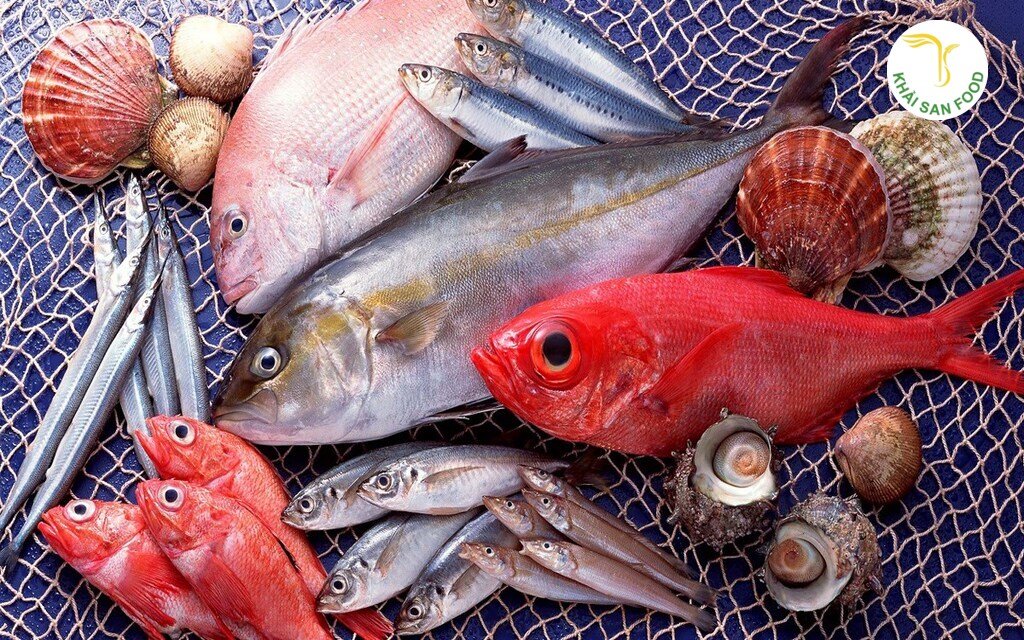 cá tươi sống cá tươi sống