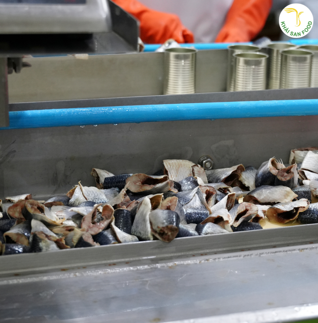 Mẹo bảo quản hải sản tươi trong tủ lạnh 