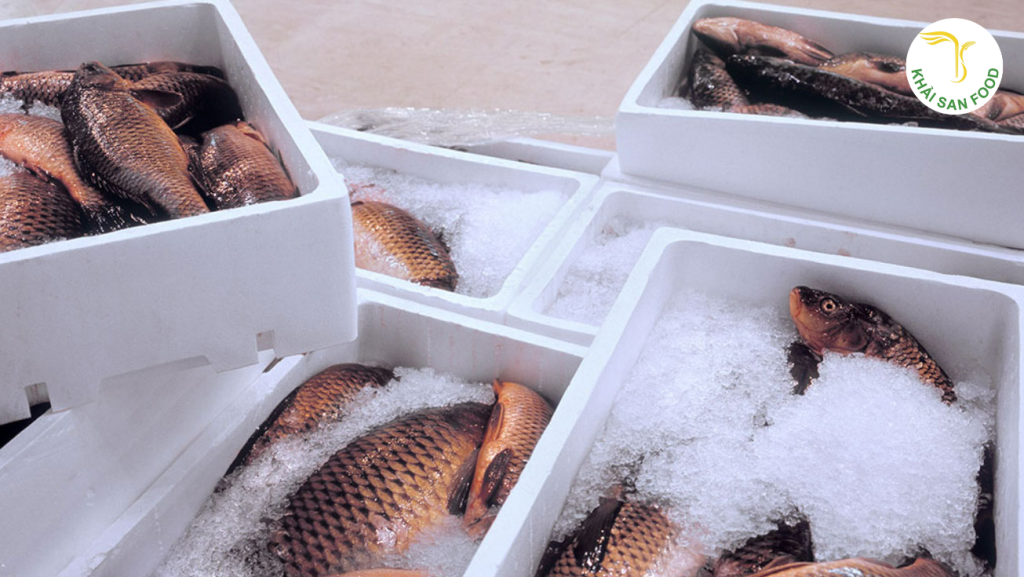 Hải Sản Gần Đây Tiện Lợi